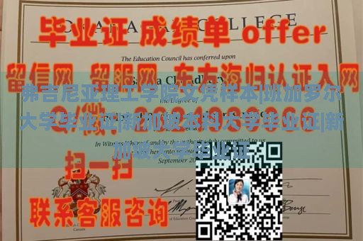 弗吉尼亚理工学院文凭样本|班加罗尔大学毕业证|新加坡本科大学毕业证|新加坡大学毕业证