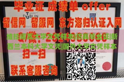 维拉诺瓦大学文凭样本|仿真毕业证|新西兰本科大学文凭|国外大学文凭样本